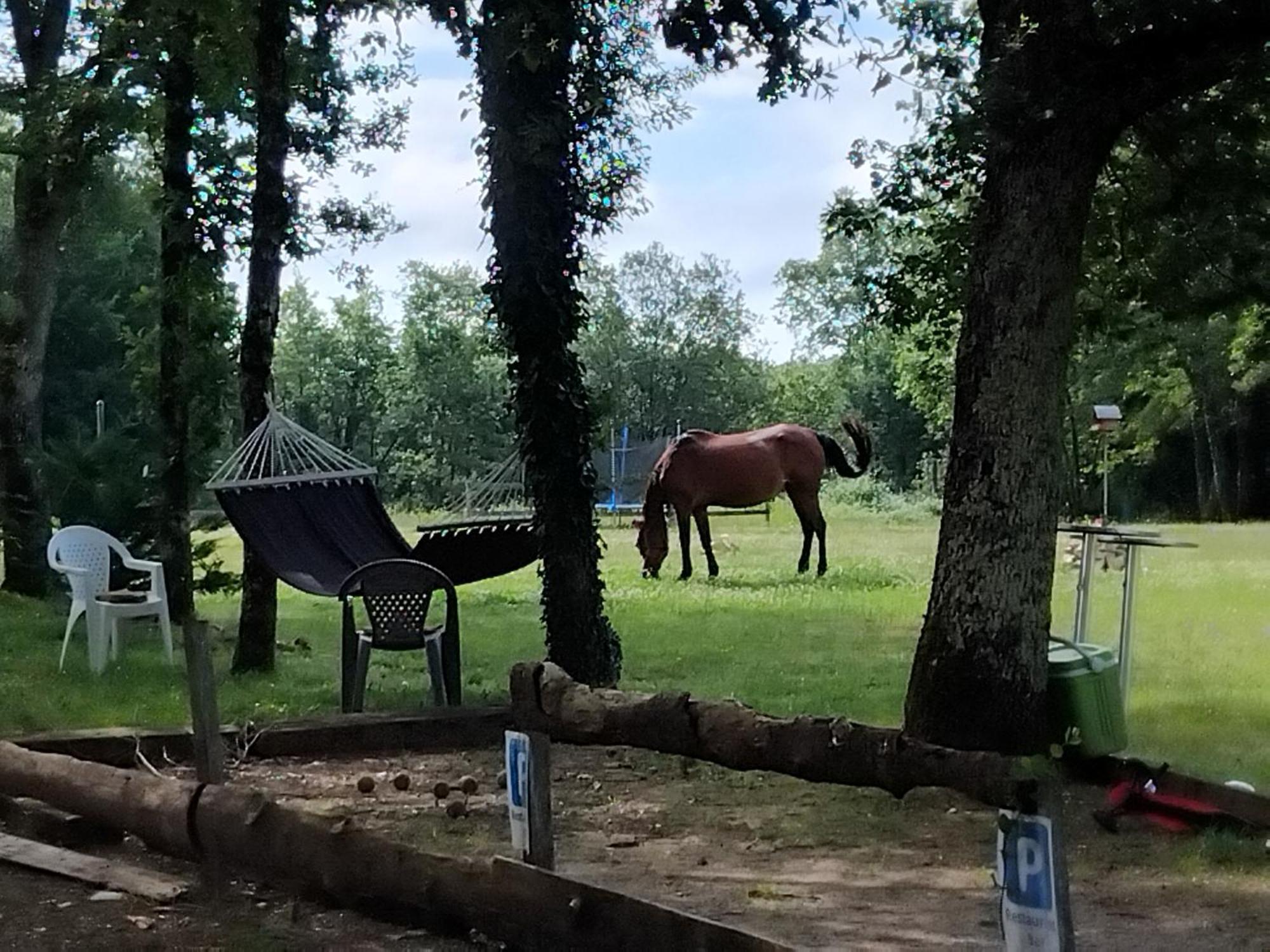 Maisonnette Pour Detente Ou Travail Saint-Aubin-de-Nabirat エクステリア 写真
